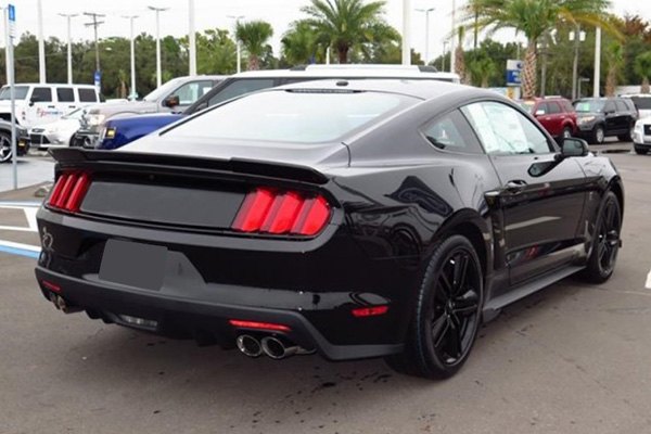 2015-22 Mustang Coupe R-WING 604 Spoiler (Paint Options)