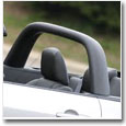 2005-2009 MUSTANG STYLE BARS & LIGHT BARS AND TONNEAU COVERS