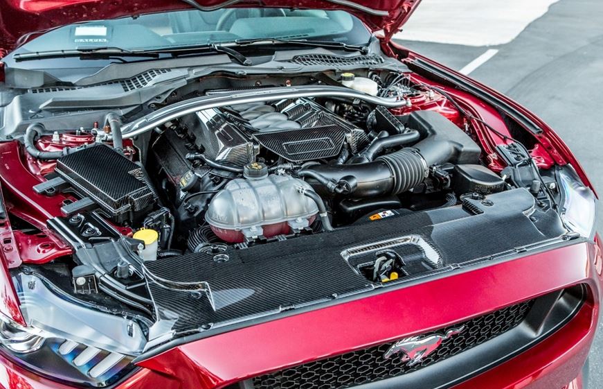 2015-17 Mustang GT LG231 Carbon Fiber Radiator Cover (ECO/V6/GT)