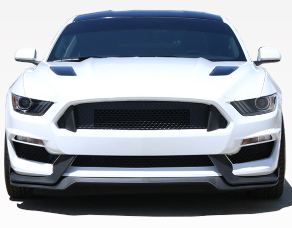 *15-17 Mustang GT350 Style Mustang Front bumper with Front lip - Polypropylene�(Fits ECO, GT & V6) - IN STOCK