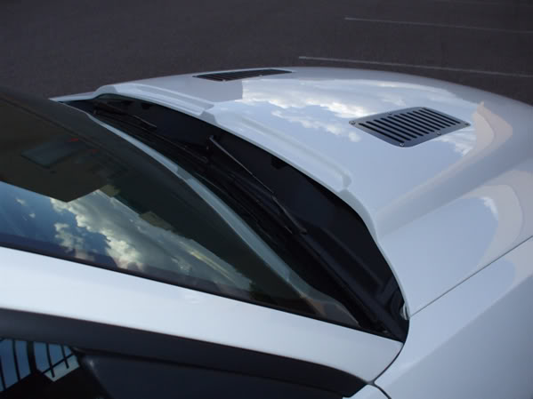 2010-2014 GT500 (2013-14 GT/V6) Mustang GT500 Black Mamba Hood (10-12 GT500 or 2013-14 GT/V6)