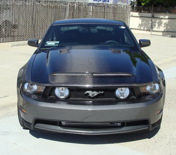 2010-2012 GT/V6 (NOT 10-12GT500) Mustang Black Mamba II Hood (GT & V6) - CARBON FIBER