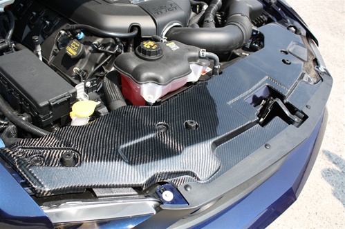 2010-2012 Mustang GT / V6 Radiator Cover - CARBON FIBER