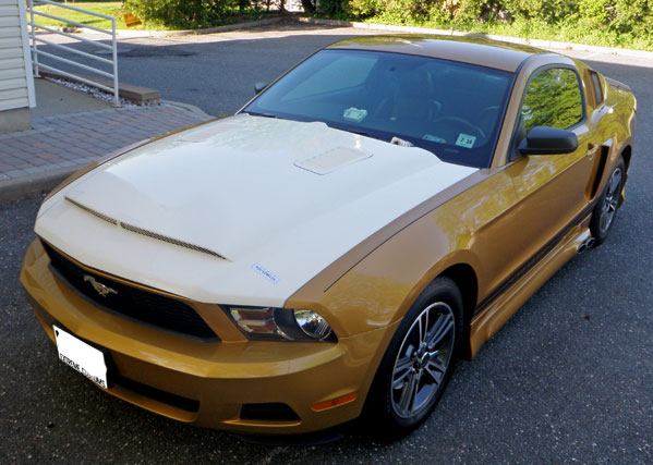 2010-2012 GT/V6 (NOT 10-12GT500) Mustang Black Mamba II Hood (GT & V6) - Fiberglass
