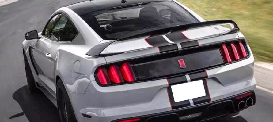 2015-22 Mustang Coupe GT350 GT350R Style Wing CARBON FIBER (With OEM Hole cover plate in Carbon fiber)