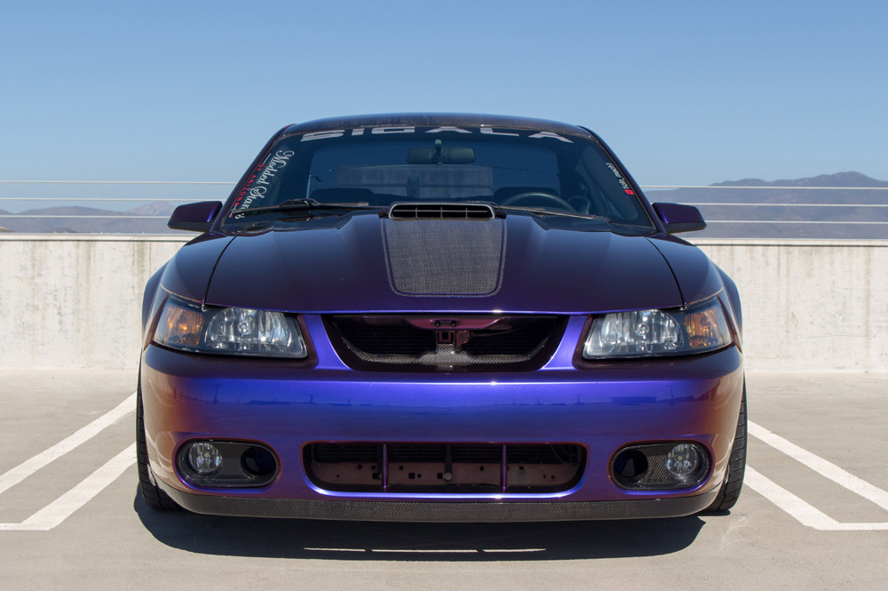 99-04 Mustang Mach 1 Chin Spoiler n Grille Delete Factory Style Kit GT SVT.
