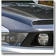 2010-12 Mustang Carbon Fiber Hoods