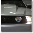 2010-12 Mustang Fiberglass Hoods
