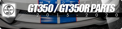 2015-2020 MUSTANG GT350 / GT350R PARTS CARBON FIBER
